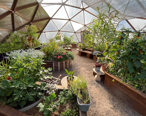 42' Growing Dome Large Greenhouse Kit (Electric)
